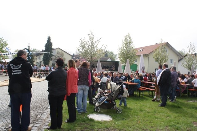 Maibaum 2013